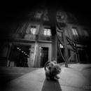 EFYS_ott_2014_F05